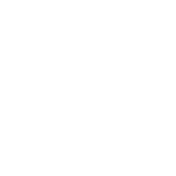 Nightly Service Reports